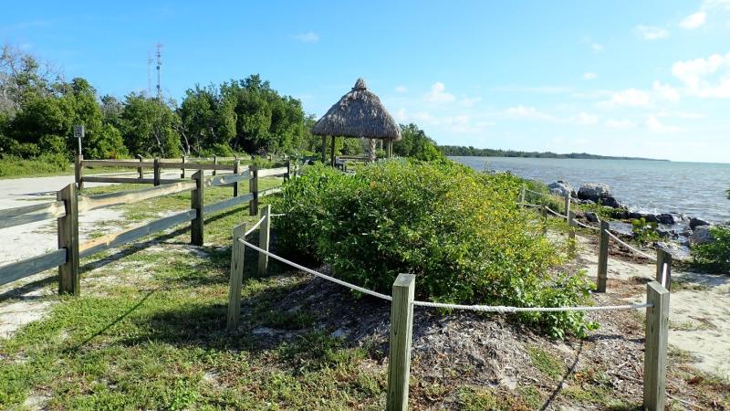 This area of the park has been replanted following Hurricane Irma.